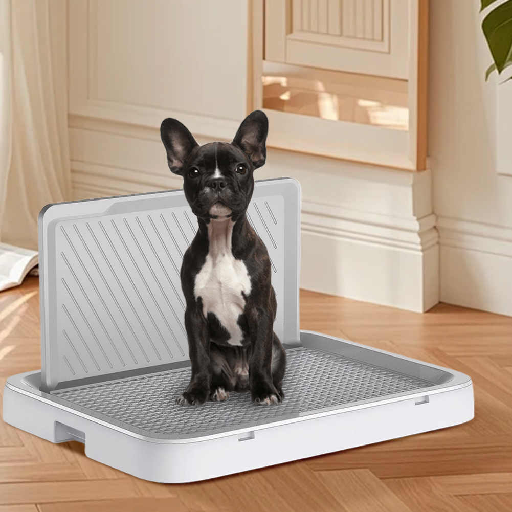 Köpek Tuvalet Tepsisi, Çiş Duv - Bench Dog Hole incelemesi ve fiyatı